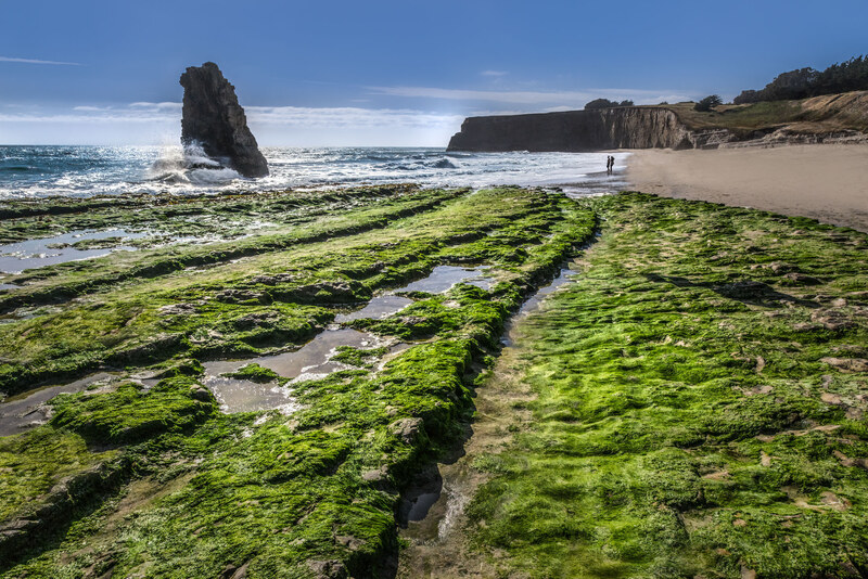 Northern California Coastline gallery cover